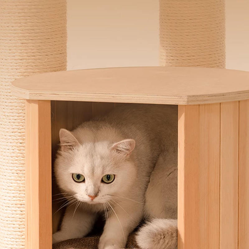 Vloer tot plafond houten condo klimframe kattenboomtoren Vloer tot plafond houten condo klimframe kattenboomtoren