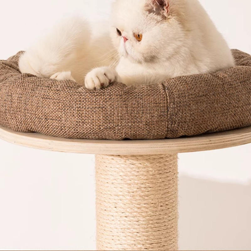 Vloer tot plafond houten condo klimframe kattenboomtoren Vloer tot plafond houten condo klimframe kattenboomtoren