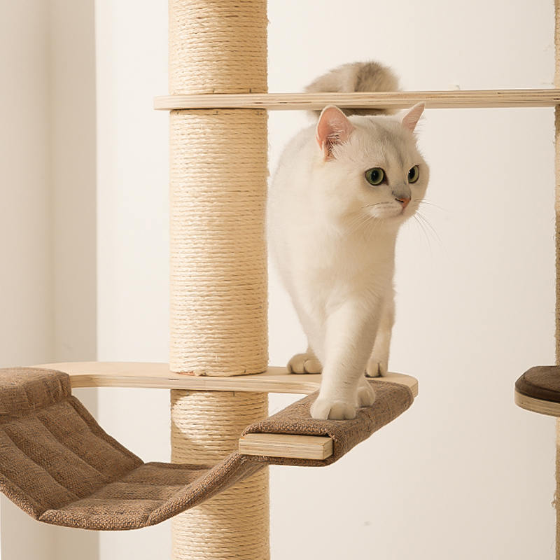 Vloer tot plafond houten condo klimframe kattenboomtoren Vloer tot plafond houten condo klimframe kattenboomtoren