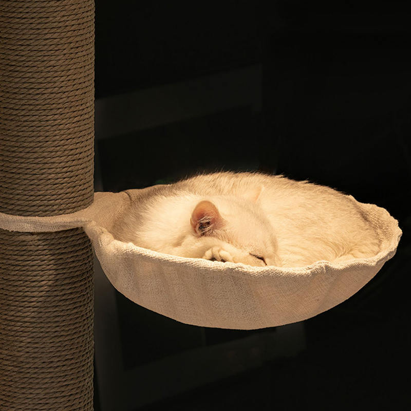 Torenbodem tot plafond binnen vaste houten klimframe kattenboom Torenbodem tot plafond binnen vaste houten klimframe kattenboom