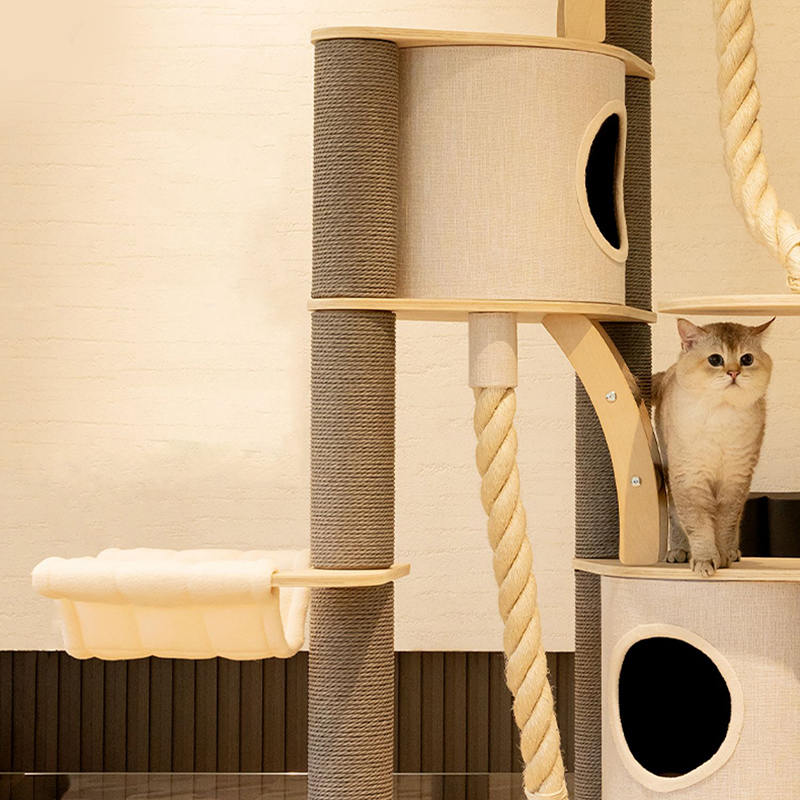 Torenbodem tot plafond binnen vaste houten klimframe kattenboom Torenbodem tot plafond binnen vaste houten klimframe kattenboom