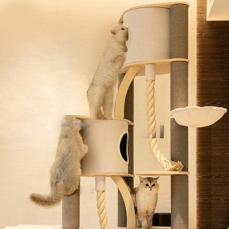 Torenbodem tot plafond binnen vaste houten klimframe kattenboom Torenbodem tot plafond binnen vaste houten klimframe kattenboom