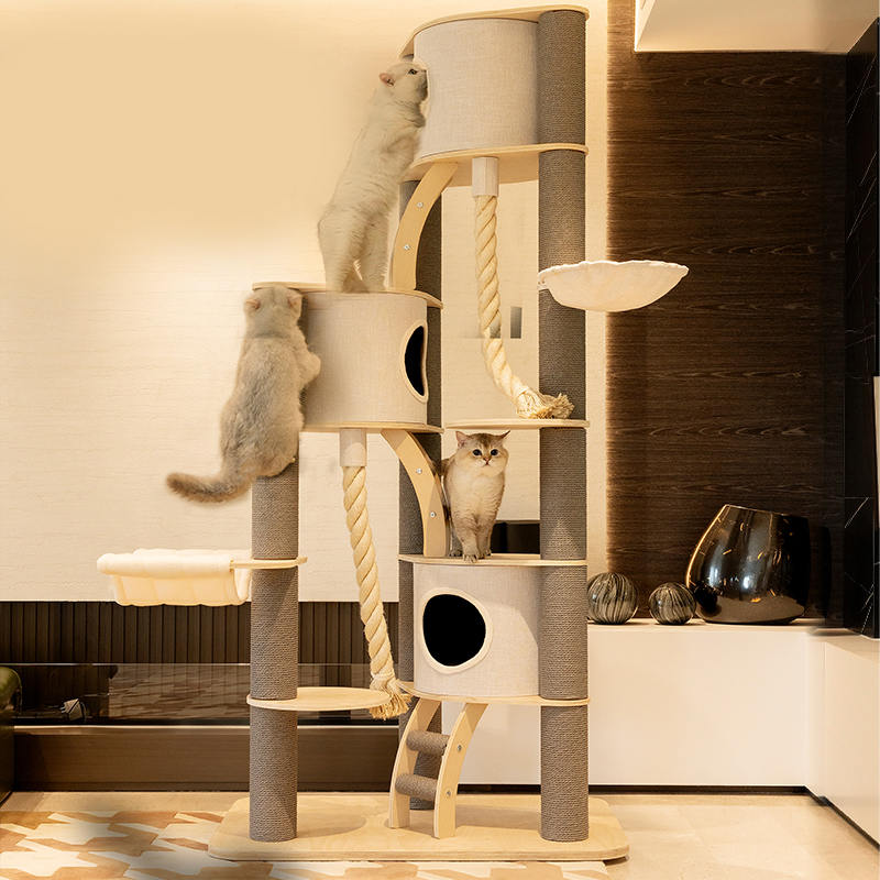 Torenbodem tot plafond binnen vaste houten klimframe kattenboom Torenbodem tot plafond binnen vaste houten klimframe kattenboom