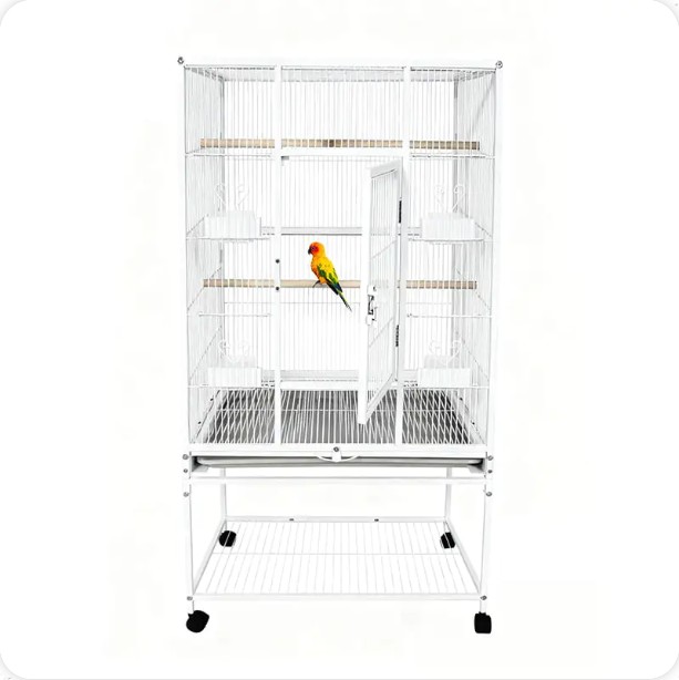 Houden vogels van hoge of brede kooien?